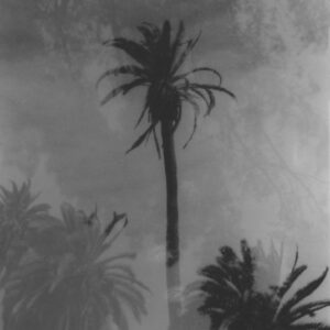 thumbnail of Silver gelatin print by Yuxing Zhou titled Double Exposure LA/NY.