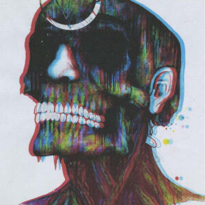 thumbnail of Inkjet print by Santiago Martinez Pagna titled 3D Pop Skull.