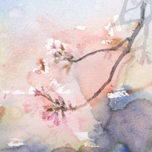 thumbnail of Watercolor on paper by Chin-Lung Huang titled 50 The Rhythm of Sakura-1.