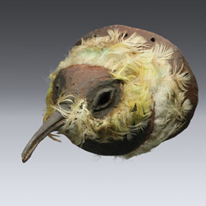 thumbnail of Object made out of wood, feathers, pigments titled Mask (bird).