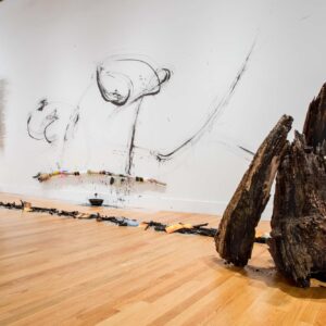 thumbnail of Decomposing tree trunks, burnt wood and ashes by Chin Chih Yang titled Amazon.