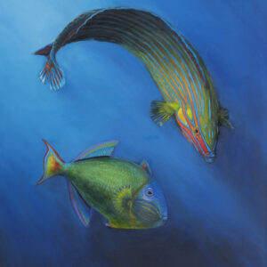thumbnail of Oil on canvas by Mara Sfara titled Two Fish.