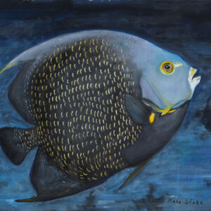 thumbnail of Oil on canvas by Mara Sfara titled French Angel Fish.