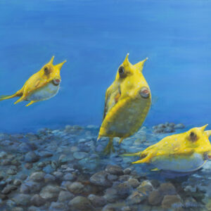 thumbnail of Oil on canvas by Mara Sfara titled Three Cow Fish.