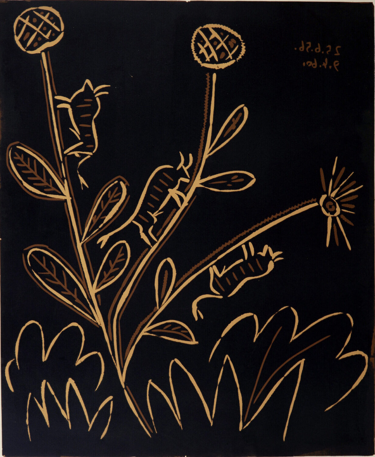 thumbnail of Lino-cut by Pablo Picasso titled Plantes aux Toritos.
