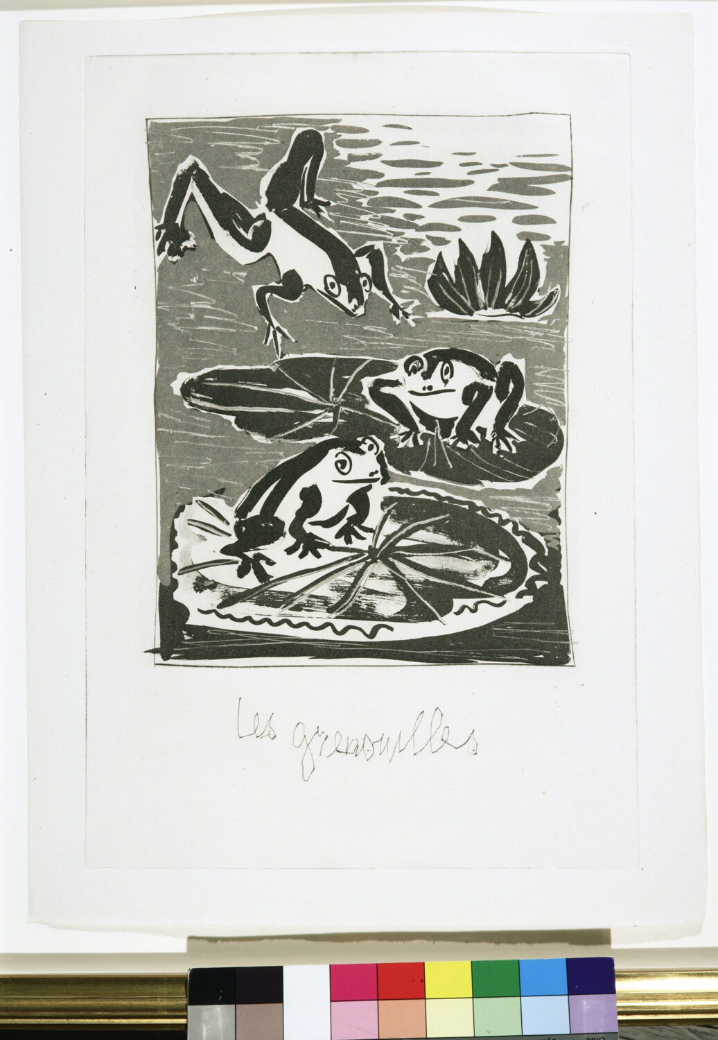 thumbnail of Aquatint and drypoint by Pablo Picasso titled Les Grenouilles.