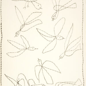 thumbnail of Lithograph by Pablo Picasso titled Oiseaux Voant.