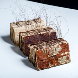 thumbnail of Mixed media, tree bark, gold leaf, copper wire, indigo dye, rust, glass beads by Yang Wei-Lin titled Between Pages.
