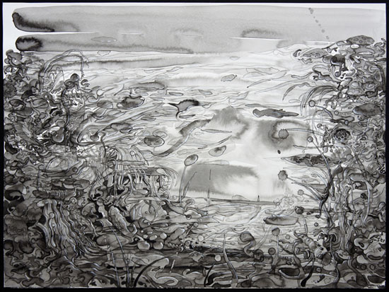 thumbnail of Ink & acrylic on paper by John Seabury titled Zabadak.