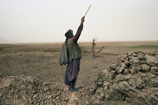 thumbnail of An Afghan shepherd in Chowkar Karez