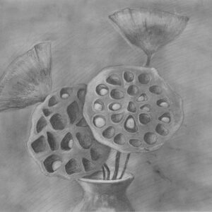 thumbnail of Graphite on paper by Xiaomin Zhang titled Seed Pod.