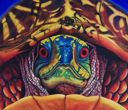thumbnail of Big Daddy Turtle