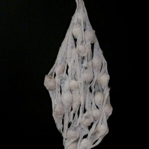 thumbnail of Polyester, cotton fiber, plaster, rose tea, adhesive by Susan Natacha Gonzalez titled Clustered Corpuscles.