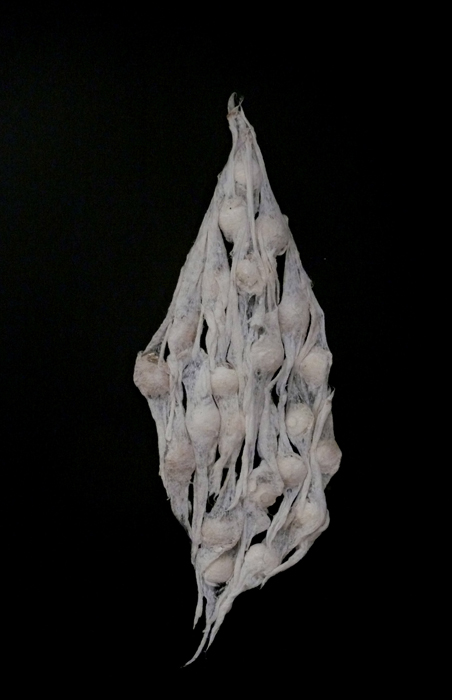 thumbnail of Polyester, cotton fiber, plaster, rose tea, adhesive by Susan Natacha Gonzalez titled Clustered Corpuscles.