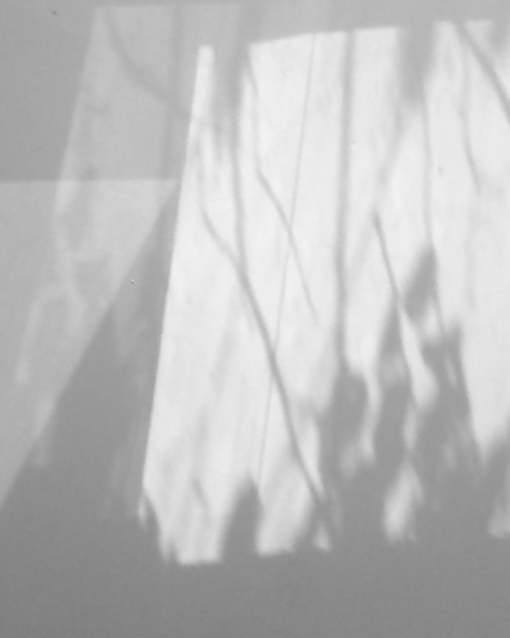 thumbnail of Archival pigment print by Freya Powell titled Morning Light.