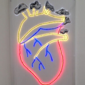 thumbnail of Broken Symmetry by artist Suzanne Nagy, medium: led lights. date: unknown