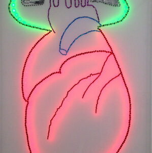 thumbnail of Extinct by artist Suzanne Nagy, medium: led lights. date: unknown
