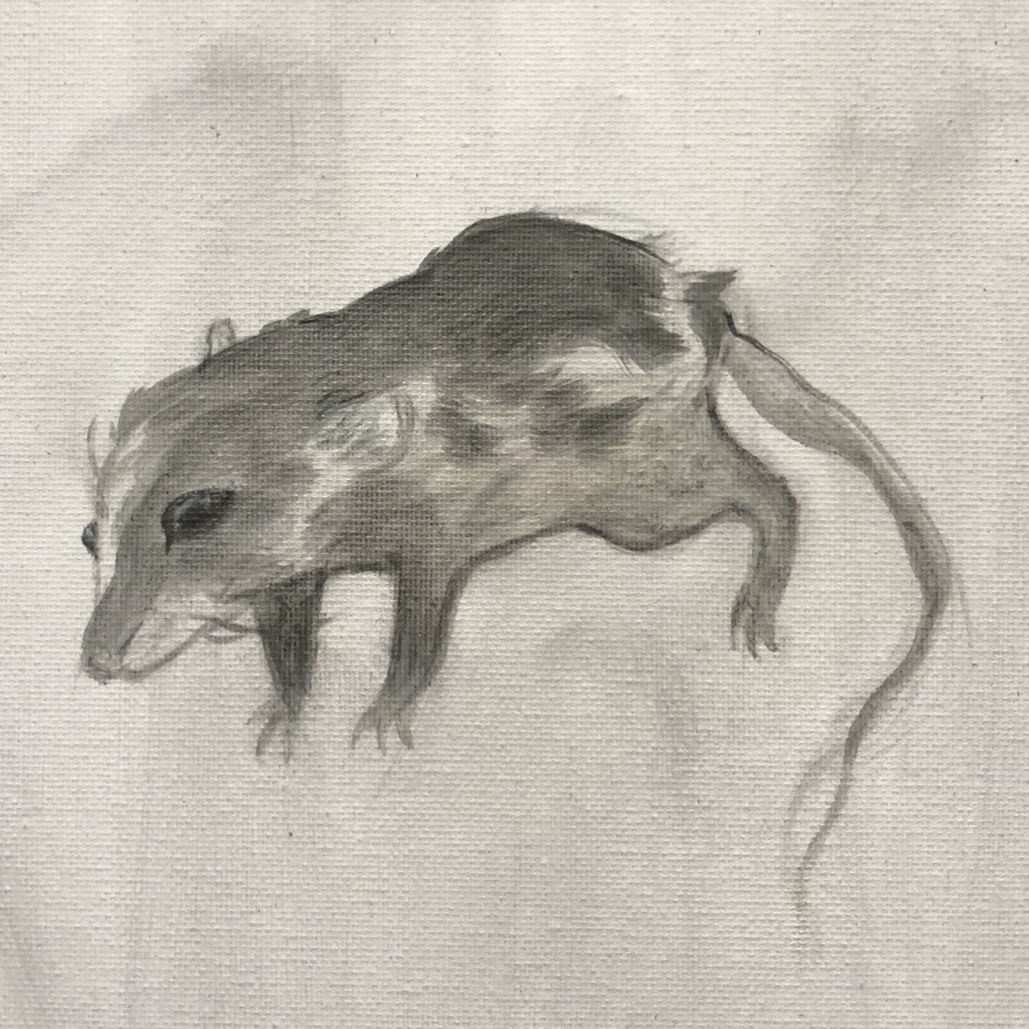 thumbnail of Pet Rat by Megan Nystrom. Medium: Acrylic on canvas. Size 8 x 8 inches Date 2020