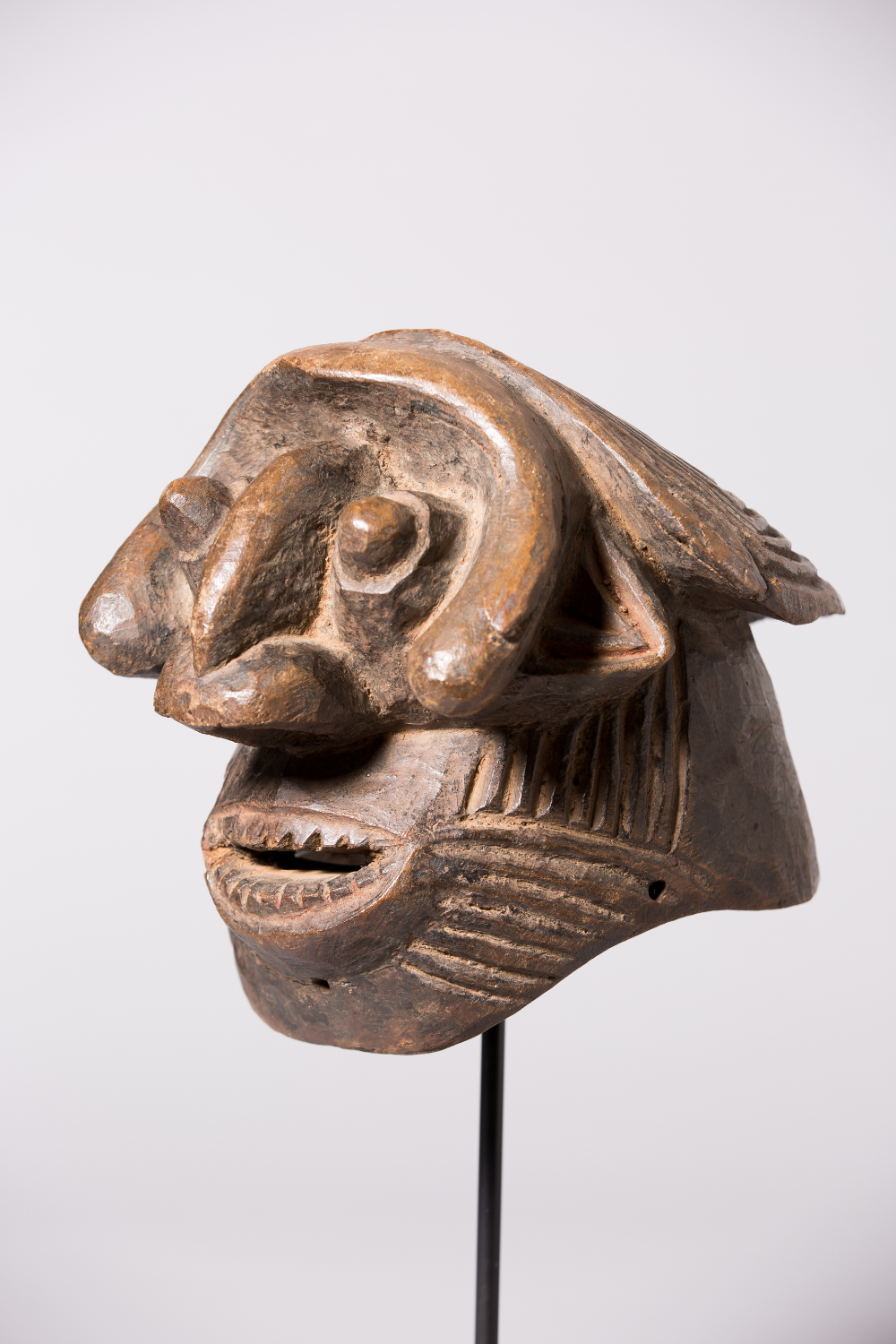 thumbnail of Male Leader Mask from Western Grassfields: Wum. medium: Wood. date: early 20th century
