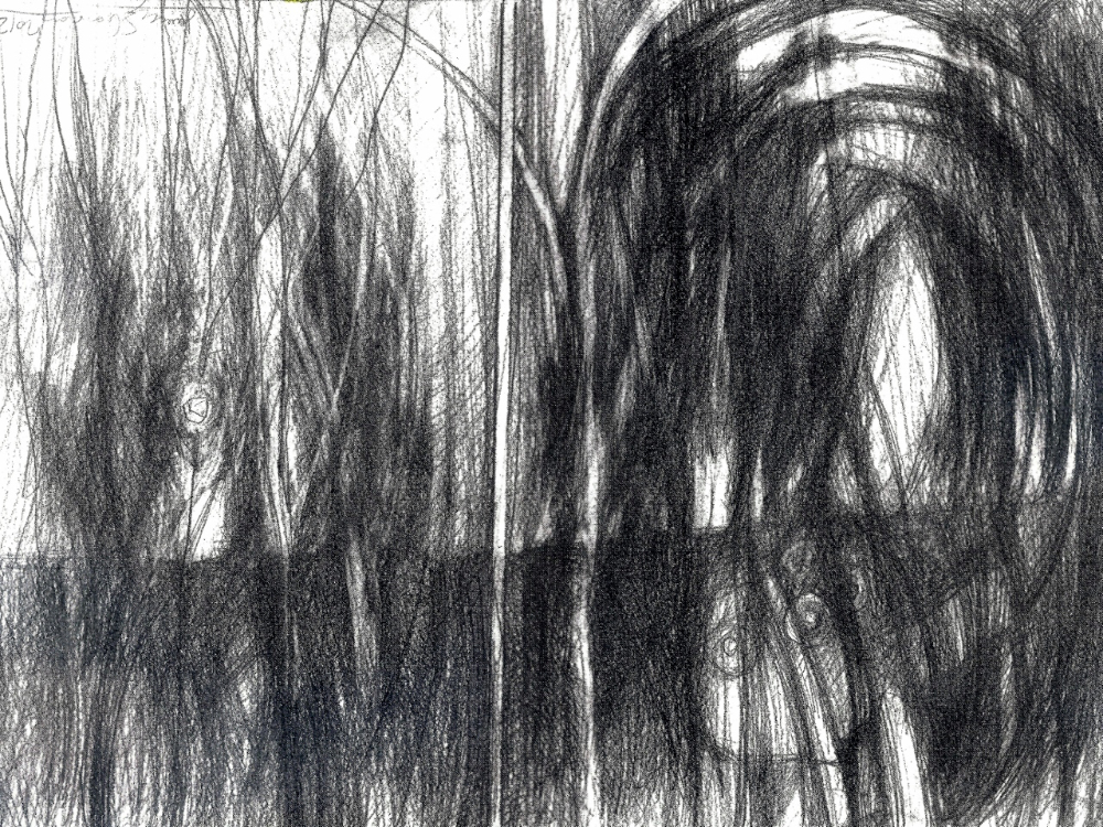 thumbnail of Janusz Skowron. medium: pencil on paper. date: 2012. dimensions: 12 x 16 inches
