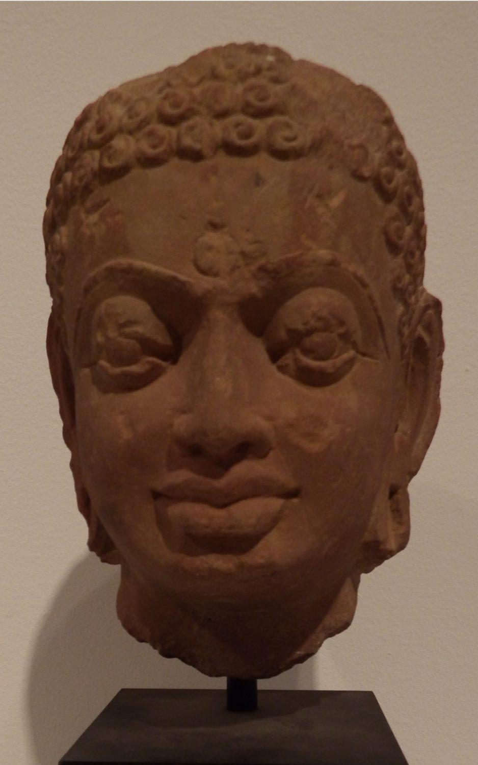 thumbnail of Head of a Jain from Mathura region. medium: Sikri sandstone. date: 275 A.D.