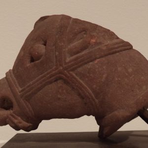 thumbnail of Head of a Horse from Mathura. medium: Red sandstone. date: 2nd century A.D.
