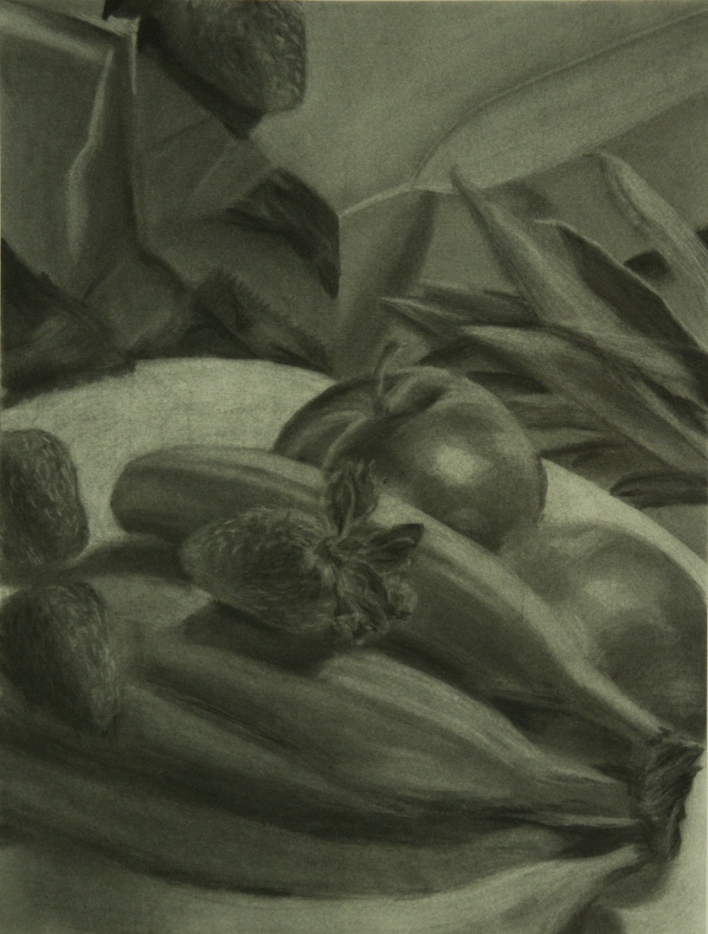 thumbnail of Untitled by Yelitza Galan. medium: charcoal. date: 2011. dimensions: 18 x 24 inches