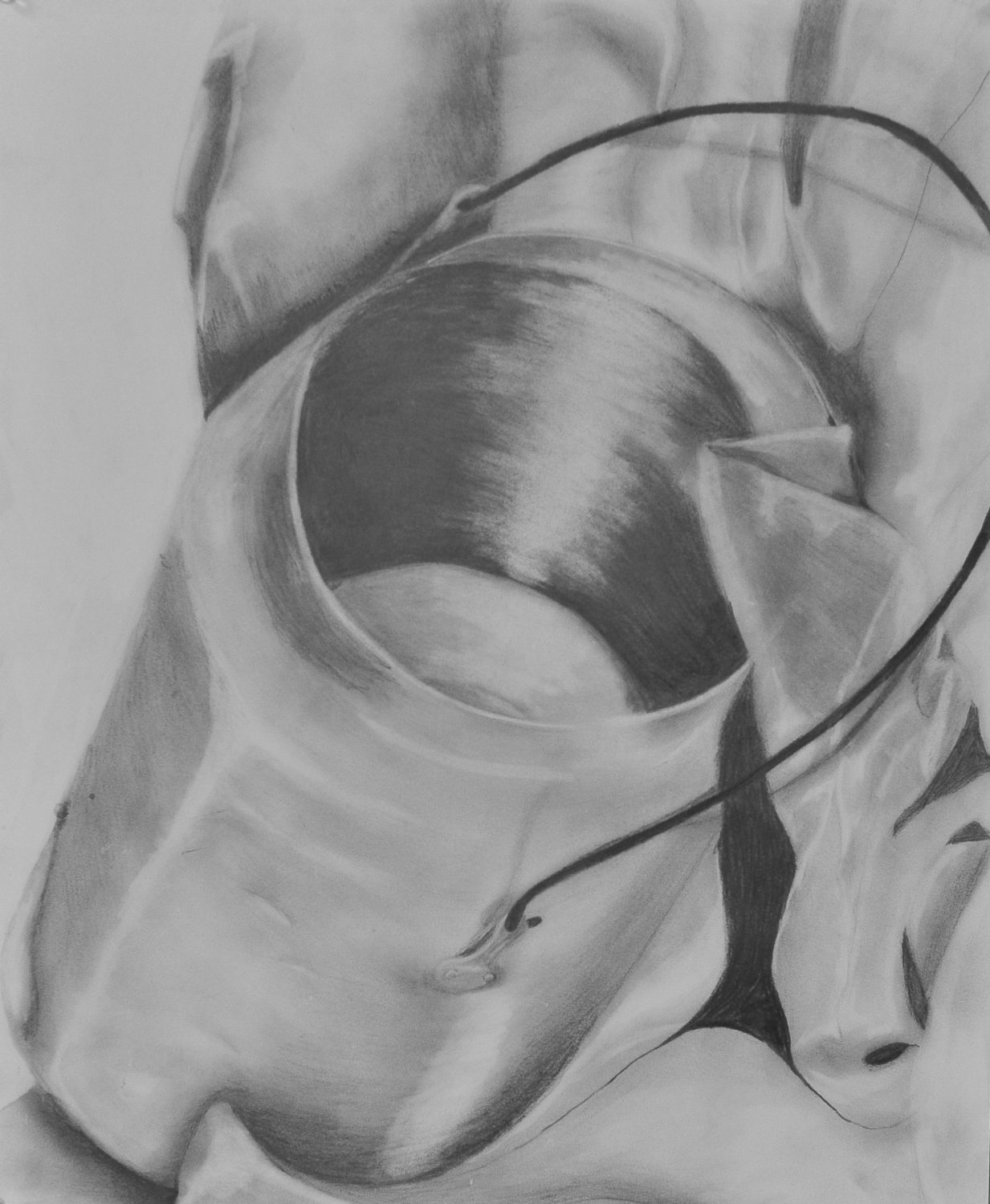 thumbnail of Don't Cry Over Spilt Milk! by Sibulelo Mnisi. Medium graphite, 24 x 18 inches