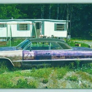 thumbnail of Purple Impala by John Salt. Medium: Oil on Canvas. Size 43 ½ x 64 in Date 1973