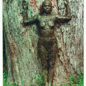 thumbnail of Arbor de la Vida by Ana Mendieta. Medium: C-Print. Size 20 x 13 in Date1976
