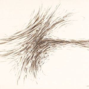 thumbnail of Big Wave by american artist Norman Gorbaty. medium: ink on paper. dimensions: 16 x 21 inches. date: 1991