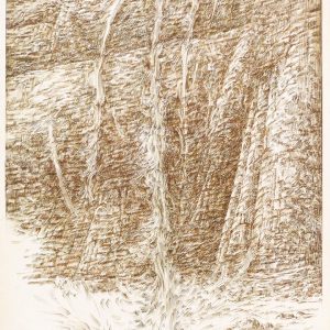 thumbnail of Cascade by american artist Norman Gorbaty. medium: pen and ink on paper. dimensions: 16 x 21 inches. date: 1959