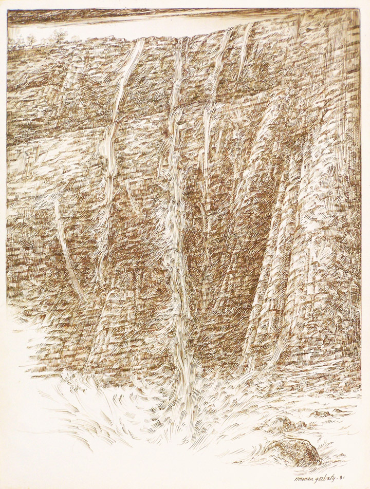 thumbnail of Cascade by american artist Norman Gorbaty. medium: pen and ink on paper. dimensions: 16 x 21 inches. date: 1959