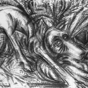 thumbnail of Dogs Fighting by American artist Norman Gorbaty. medium: charcoal on paper. dimensions: 40 x 78 inches. date: 2005