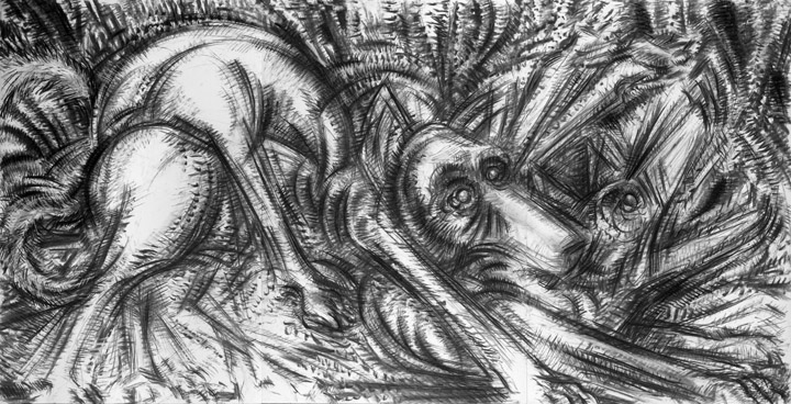 thumbnail of Dogs Fighting by American artist Norman Gorbaty. medium: charcoal on paper. dimensions: 40 x 78 inches. date: 2005