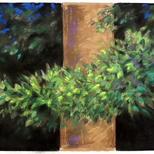 thumbnail of Middle Tree by American artist Norman Gorbaty. medium: pastel on paper. dimensions: 22 x 32 inches. date: 2005