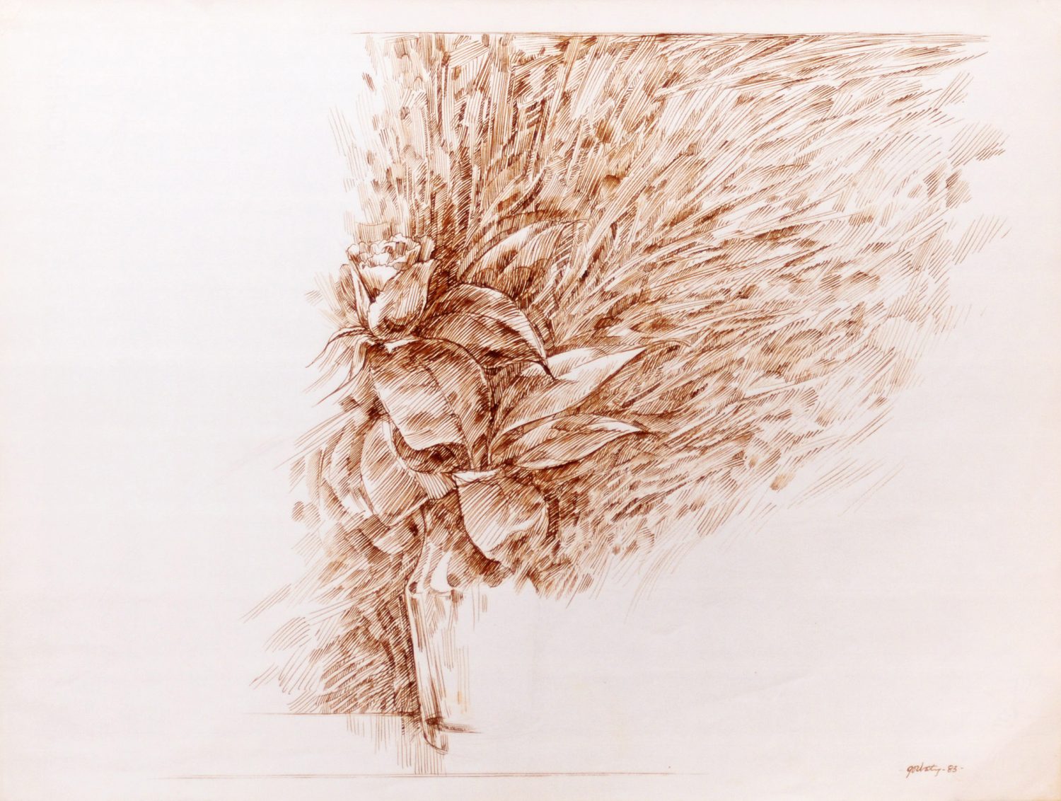 thumbnail of Rose by american artist Norman Gorbaty. medium: pen and ink on paper. dimensions: 16 x 21 inches. date: unknown
