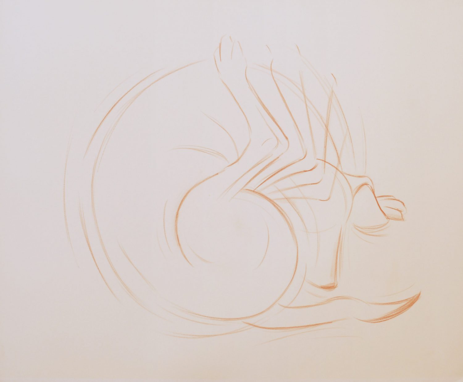 thumbnail of Scratching Dog II by american artist Norman Gorbaty. medium: conte on paper. dimensions: 23 x 30 inches. date: unknown