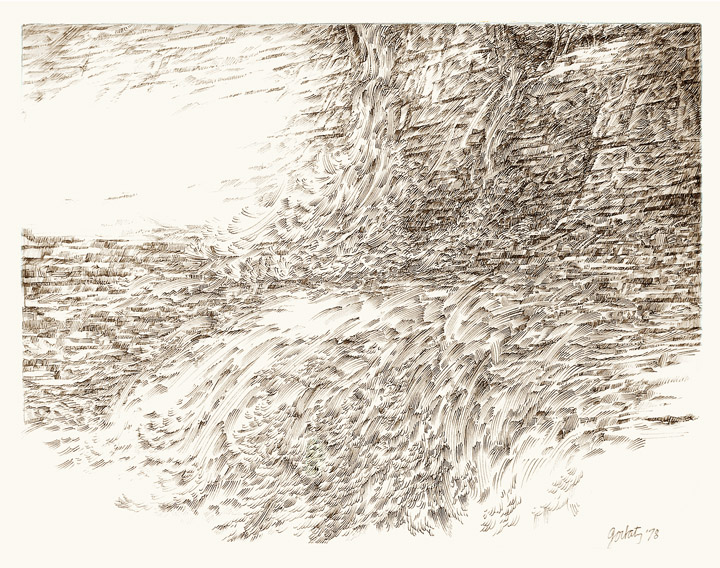 thumbnail of Simon's Falls by american artist Norman Gorbaty. medium: pen and ink on paper. dimensions: 16 x 21 inches. date: 1978