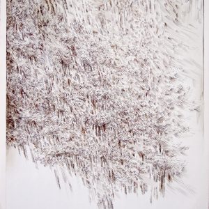 thumbnail of Hill Trees by american artist Norman Gorbaty. medium: pen and ink on paper. dimensions: 21 x 16 inches. date: 1983