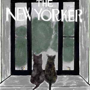 thumbnail of cover illustration; The New Yorker by Emily Lee. medium: digital illustration. date: 2021. dimensions: 11 x 8.5 inches