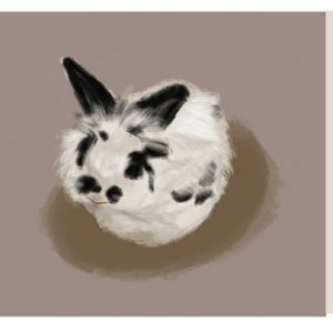 thumbnail of Animals, Rabbit by Keira Leavitt. medium: digital illustration. date: 2021. dimensions: 4.5 x 15 inches