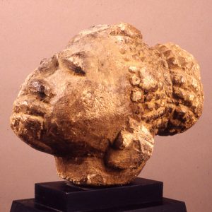 thumbnail of Male Head from Sape Confederation, Sierra Leone. medium: steatite. date: unknown. height: 10 inches