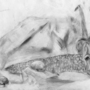 thumbnail of Untitled by artist Michael Moody. medium: graphite on paper. date: 2010. dimensions: 11 x 13 inches