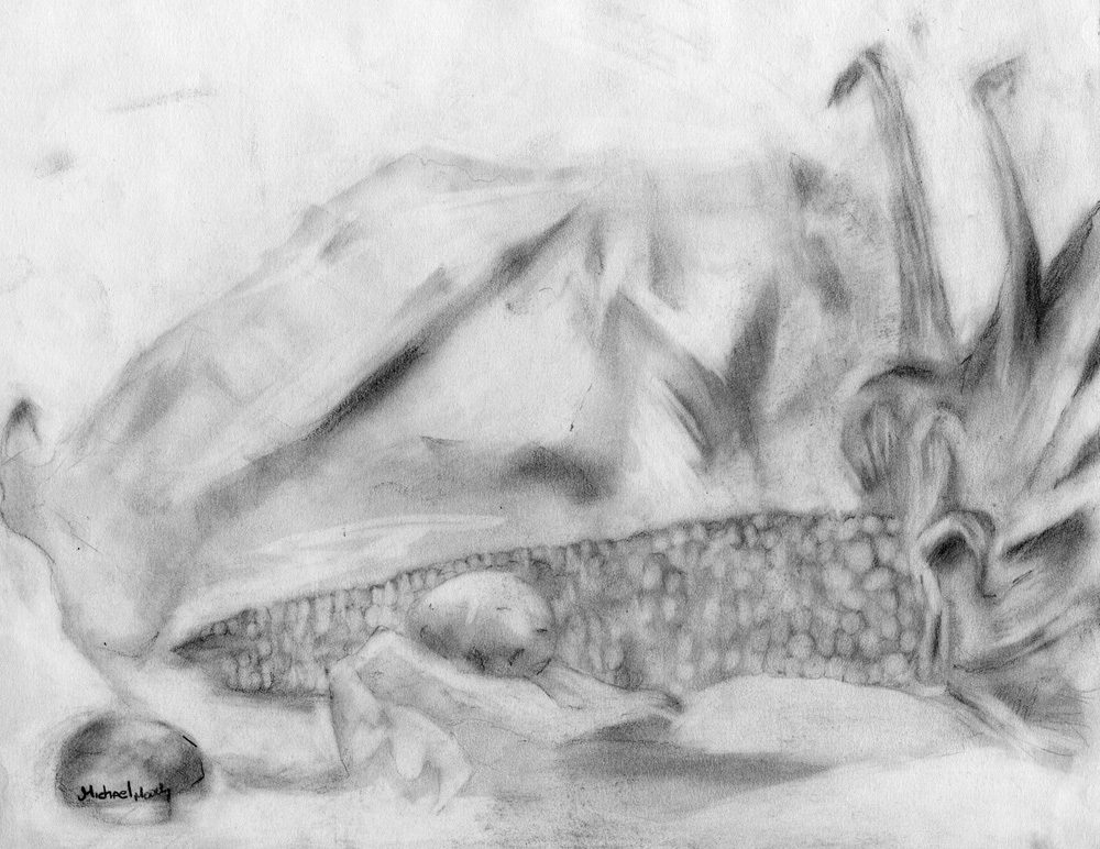 thumbnail of Untitled by artist Michael Moody. medium: graphite on paper. date: 2010. dimensions: 11 x 13 inches