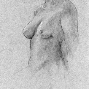 thumbnail of Untitled by artist Christopher Smith. medium: graphite on paper. date: 2010. dimensions: 16 x 14 inches
