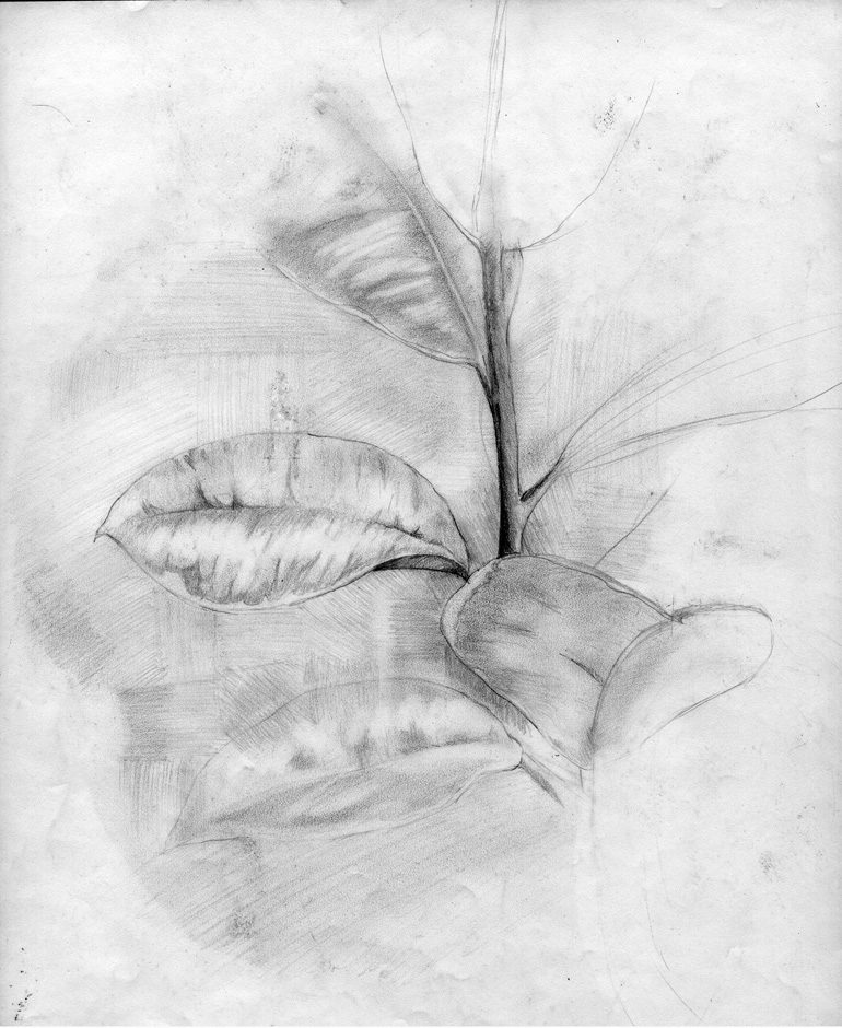 thumbnail of Untitled by artist Christopher Smith. medium: graphite on paper. date: 2010. dimensions: 16 x 14 inches