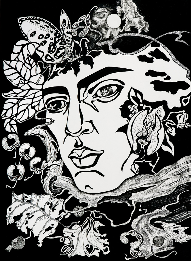 thumbnail of Dionysos by Russian American artist Yelena Tylkina. medium: ink on paper. date: 2007. dimensions: 22 x 30
