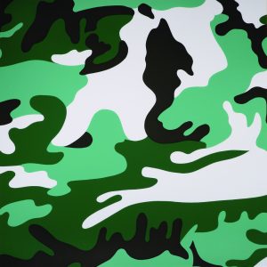 thumbnail of Camouflaje by Andy Warhol from New York, U.S. medium: 8 Screen print in color on Lenox Museum Board. date: 1987. dimensions: 38.25 x 38 inches.