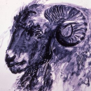 thumbnail of Ram by artist Miriam Beerman. medium: ink wash on paper. date: 1977. dimensions: 36 x 48 inches
